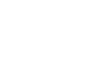 Protina Logo