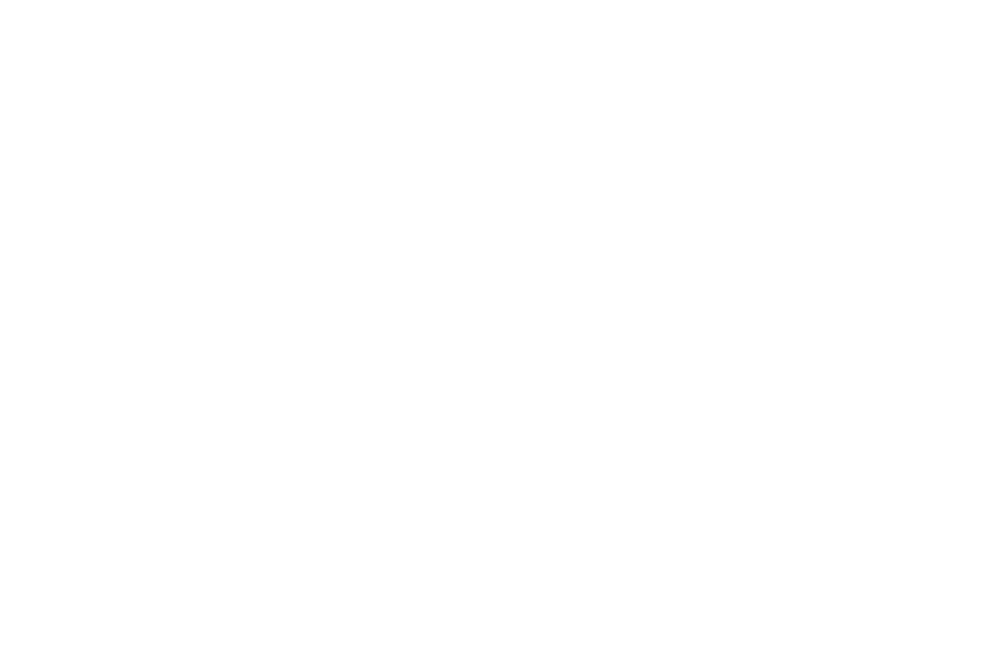 SR Regensburger Logo